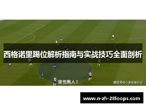 西格诺里踢位解析指南与实战技巧全面剖析