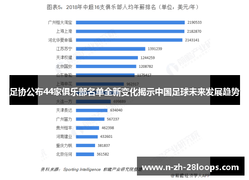 足协公布44家俱乐部名单全新变化揭示中国足球未来发展趋势