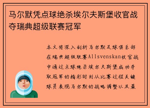 马尔默凭点球绝杀埃尔夫斯堡收官战夺瑞典超级联赛冠军