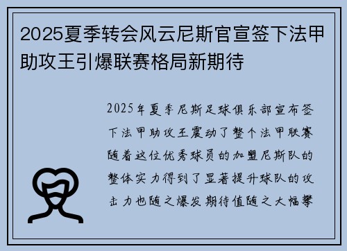 2025夏季转会风云尼斯官宣签下法甲助攻王引爆联赛格局新期待 2025夏季转会风云尼斯官宣签下法甲助攻王引爆联赛格局新期待