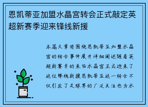 恩凯蒂亚加盟水晶宫转会正式敲定英超新赛季迎来锋线新援